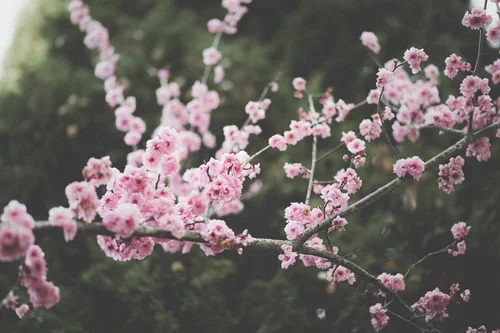 Spring is in the air