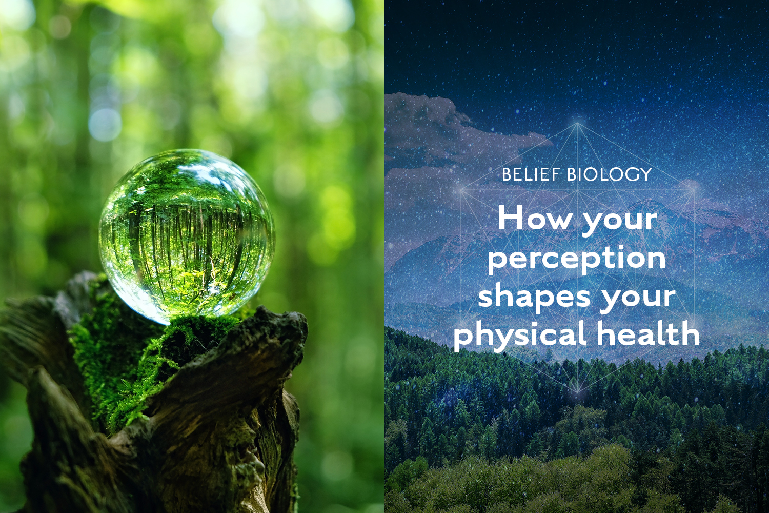 The Biology of Belief: How Your Perception Shapes Your Physiology