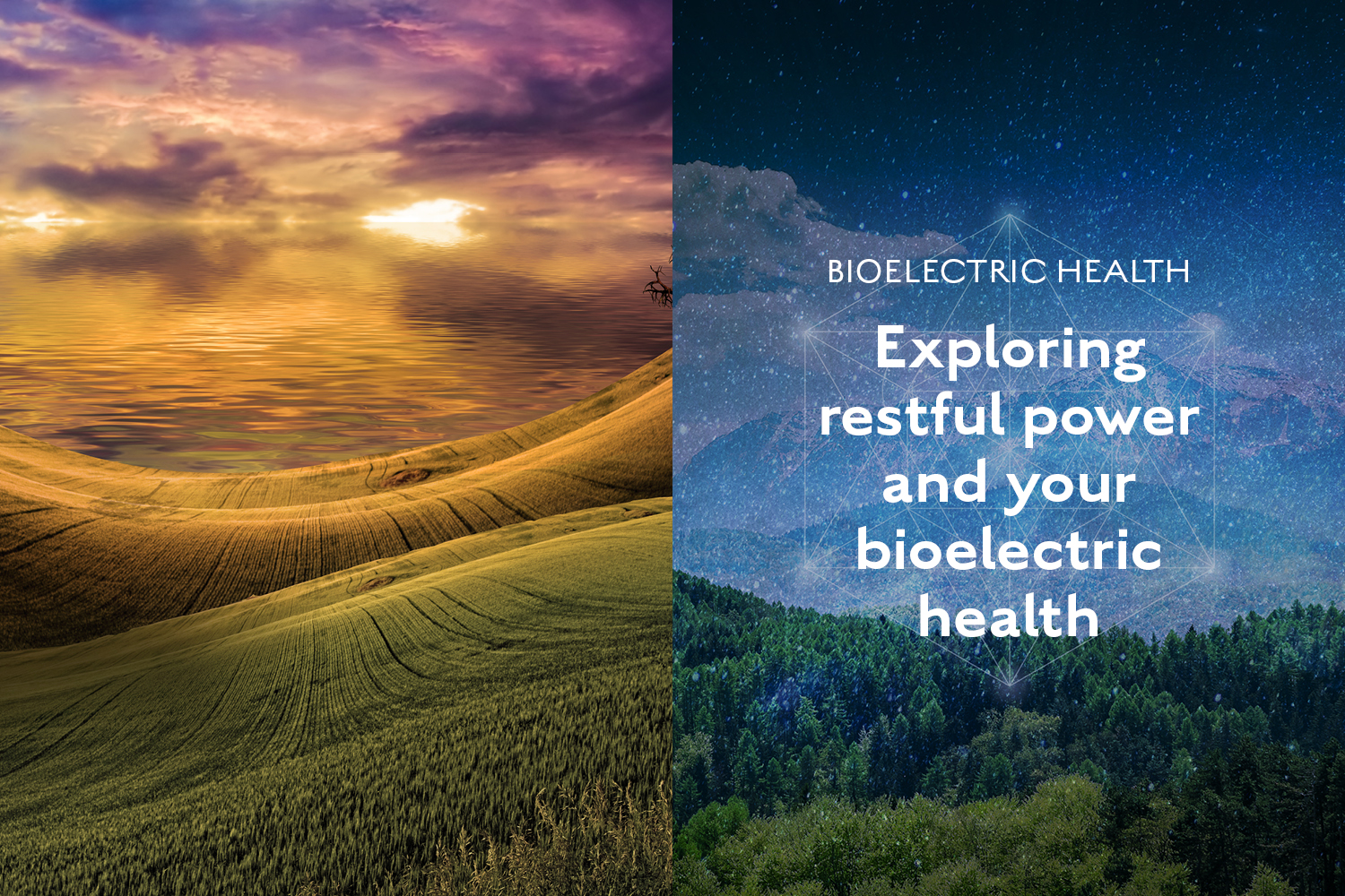 The Living Current: Restful Power and Your Bioelectric Health